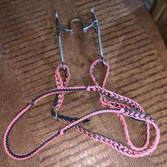 High Port Bit With Black & Pink Roping Reins - Picture 1 of 5